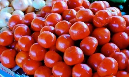 தக்காளி விலை சரிவு..