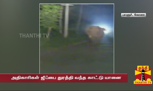 காட்டு யானையை விரட்டச் சென்ற வனத்துறை அதிகாரிகள்... 2 கிமீ தூரம் ஜீப்பை விரட்டிய காட்டு யானை