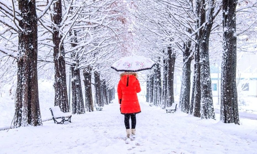 வடகொரியாவில் பொழியத் துவங்கிய பனி - வெண்போர்வை போர்த்திய ரம்மியமான காட்சி