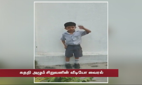 அன்புதானே எல்லாம்... ஒரு மரத்துக்காக கதறி அழும் சிறுவன் - கண்ணீர் வரவைக்கும் காட்சி