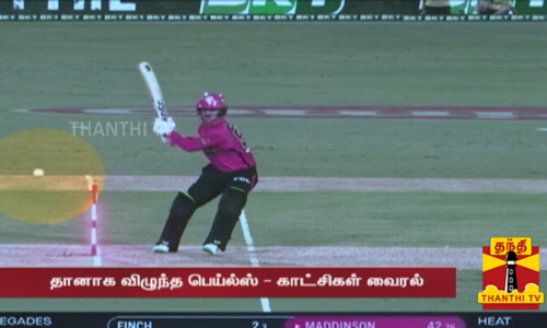 பிக்பேஷ் டி20 கிரிக்கெட் தொடர்- தானாக விழுந்த பெய்ல்ஸ் | viral video