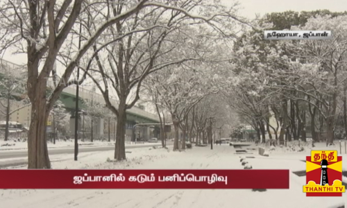ஜப்பானில் கடும் பனிப்பொழிவு- பல்வேறு பகுதிகளில் போக்குவரத்து பாதிப்பு