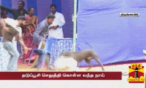 தடுப்பூசி செலுத்தி கொள்ள வந்த நாய்க்கு திடீரென வெறி பிடித்து பாய்ந்ததால் அதிர்ச்சி தடுப்பூசி செலுத்தி கொள்ள வந்த நாய்க்கு திடீரென வெறி பிடித்து பாய்ந்ததால் அதிர்ச்சி