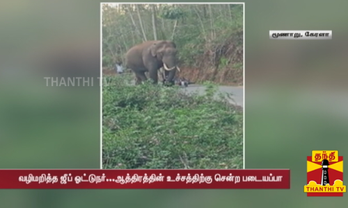 சாலையில் இறங்கிய படையப்பா யானை....வழிமறித்த ஜீப் ஓட்டுநர்...ஆத்திரத்தின் உச்சத்திற்கு சென்ற படையப்பா