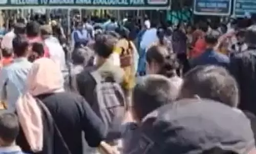 காணும் பொங்கலையொட்டி வண்டலூர் உயிரியல் பூங்காவில் குவிந்த மக்கள் காணும் பொங்கலையொட்டி வண்டலூர் உயிரியல் பூங்காவில் குவிந்த மக்கள்