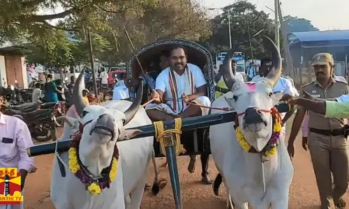 தமிழக சுற்றுலாத்துறை சார்பில் சமத்துவ பொங்கல் விழா... மாட்டு வண்டி ஓட்டி மகிழ்ந்த மாவட்ட ஆட்சியர்