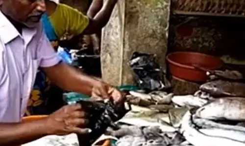 முடிஞ்சிது டா பொங்கலு... கிளம்புடா மீன் மார்க்கெட்டுக்கு...  மீன் கடையில் அலை மோதிய மக்கள் கூட்டம்