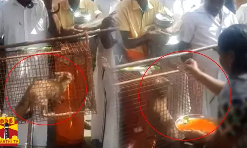 இது என்னடா புது வித பொங்கலா இருக்கு  வினோதமாய் பொங்கல் கொண்டாடும் கிராமம்...