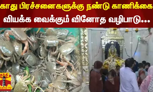 காது பிரச்சனைகளுக்கு நண்டு காணிக்கை... வியக்க வைக்கும் வினோத வழிபாடு