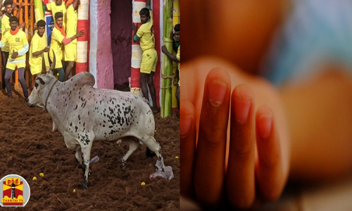விறு விறுப்பாக நடந்த ஜல்லிக்கட்டில் சோகம்... திடீரென மாடு முட்டியதால் போட்டியை காண வந்த 15 வயது சிறுவன் உயிரிழப்பு