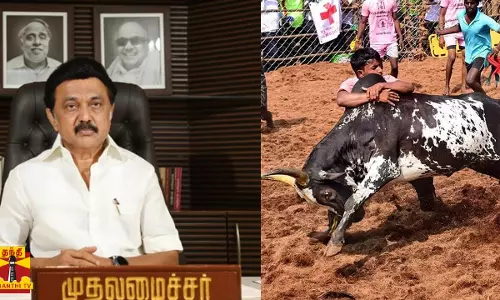 ஜல்லிக்கட்டில் உயிரிழப்பு -  முதலமைச்சர் ஸ்டாலின் உத்தரவு
