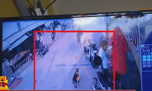 20க்கும் மேற்பட்டோரை கடித்த வெறி நாய்...இரவு முழுவதும் தேடிப்பிடித்த துப்புரவு பணியாளர்கள்