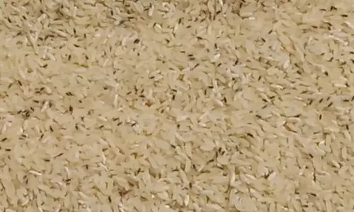 சத்துணவு அரிசியில் புழுக்கள் - அரசு நடவடிக்கை எடுக்க மக்கள் கோரிக்கை