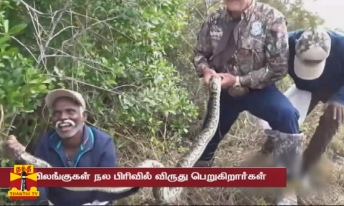 பாம்பை கண்டால் படையே நடுங்கும்   ஆனால் இவர்கள்..தமிழகத்துக்கு பெருமை சேர்க்கும்  பாம்பு பிடி வல்லுநர்கள்