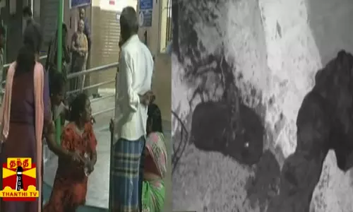 அண்ணன், தம்பி கத்தியால் குத்திக்கொலை...குடும்ப தகராறில் தாய்மாமன் வெறிச்செயல்