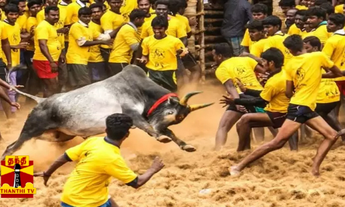 கோலாகலமாக நடைபெற்ற ஜல்லிக்கட்டுப் போட்டி....ஆங்காரமாக சீறி வந்த காளைகள்..