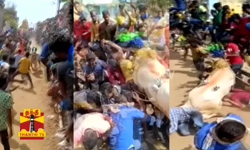 25 பேரை முட்டி தூக்கிய காளை.. சரிந்து விழுந்த இளைஞர் கவலைக்கிடம் - பதைபதைக்க வைக்கும் காட்சிகள்