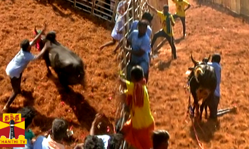 சீறிப்பாயும் காளைகள்.. துடிப்புடன் அடக்கும் வீரர்கள்..  விதவிதமான பரிசுகளோடு கலை கட்டும் தஞ்சை ஜல்லிக்கட்டு