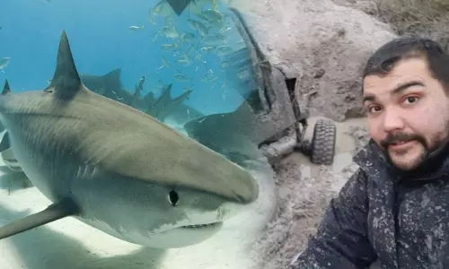 மாயமான இளைஞர் சுறா மீனின் வயிற்றில்...