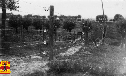 காவுவாங்கும் மின்வேலி - கடிவாளமிடுவது எப்போது? தொடரும் உயிரிழப்புகள் - யார் பொறுப்பு? எப்போதுதான் தடுக்கப்படும் தவறு? - ஆர்வலர்கள் ஆதங்கம்