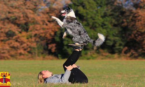 சேட்டை பிடிச்ச பையன் சார் இவன்...குத்தாட்டம் போட்ட குட்டி நாய்...