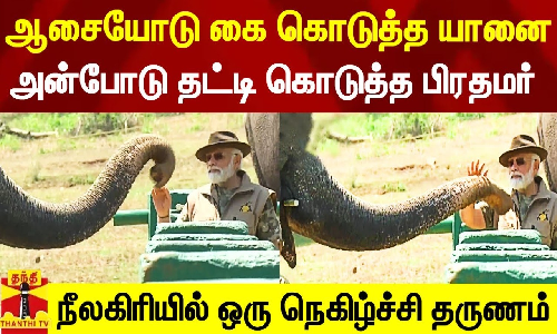 ஆசையோடு கை கொடுத்த யானை.. அன்போடு தட்டி கொடுத்த பிரதமர் - நீலகிரியில் ஒரு நெகிழ்ச்சி தருணம்