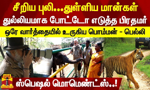 சீறிய புலி.. துள்ளிய மான்கள்..துல்லியமாக போட்டோ எடுத்த பிரதமர்..ஒரே வார்த்தையில் உருகிய பொம்மன் - பெல்லி - ஸ்பெஷல் மொமெண்ட்ஸ்..!
