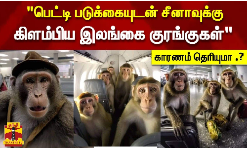 பெட்டி படுக்கையுடன் சீனாவுக்கு கிளம்பிய இலங்கை குரங்குகள்..காரணம் தெரியுமா .?