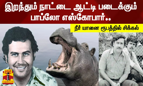 இறந்தும் நாட்டை ஆட்டி படைக்கும் பாப்லோ எஸ்கோபார்.. நீர் யானை ரூபத்தில் சிக்கல்
