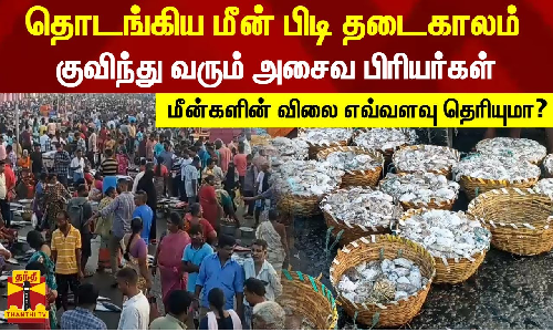 தொடங்கிய மீன் பிடி தடைகாலம்...குவிந்து வரும் அசைவ பிரியர்கள் - மீன்களின் விலை எவ்வளவு தெரியுமா?