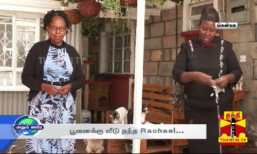 பூனைக்கு வீடு தந்த Rachael... எட்டாவது வள்ளலாக மாறிய பெண்!