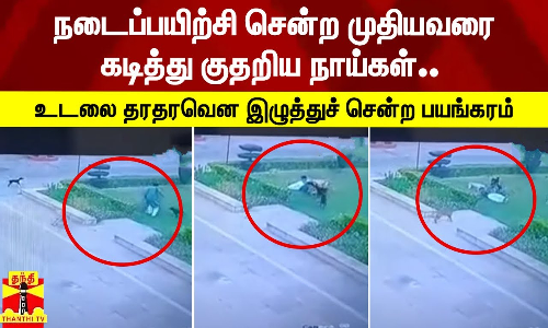 நடைப்பயிற்சி சென்ற முதியவரைக் கடித்து குதறிய நாய்கள்-உடலை தரதரவென இழுத்துச் சென்ற பயங்கரம்..!