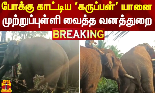 #BREAKING || போக்கு காட்டிய கருப்பன் யானை - முற்றுப்புள்ளி வைத்த வனத்துறை