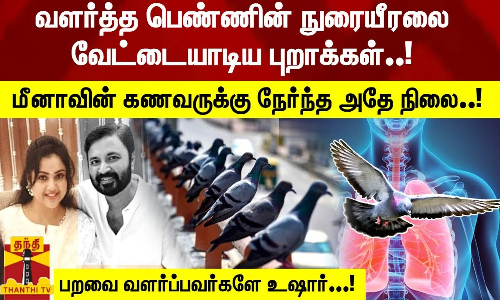 வளர்த்த பெண்ணின் நுரையீரலை வேட்டையாடிய புறாக்கள்..!  மீனாவின் கணவருக்கு நேர்ந்த அதே நிலை ..பறவை வளர்ப்பவர்களே உஷார்...!