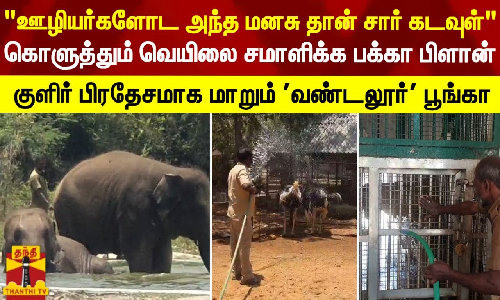 ஐஸ் கட்டியில் குளிர்ச்சி பழங்கள் உண்ணும் விலங்குகள்..! ஐஸ் கட்டியில் குளிர்ச்சி பழங்கள் உண்ணும் விலங்குகள்..!