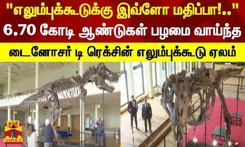 6.70 கோடி ஆண்டுகள் பழமை வாய்ந்த டைனோசர் டி ரெக்சின் எலும்புக்கூடு ஏலம்