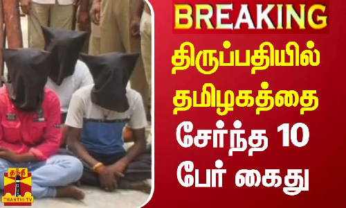 திருப்பதி அருகே செம்மர கடத்தலில்  ஈடுபட்ட தமிழகத்தைச் சேர்ந்த 10 பேர் உள்பட 13 பேர் கைது
