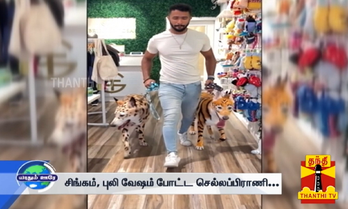சிங்கம், புலி வேஷம் போட்ட செல்லப்பிராணிகள்...
