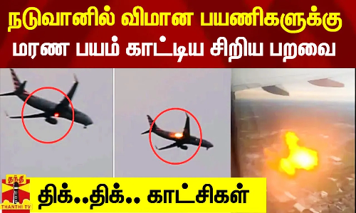 நடுவானில் விமான பயணிகளுக்கு மரண பயம் காட்டிய சிறிய பறவை - திக்.. திக்.. காட்சிகள்