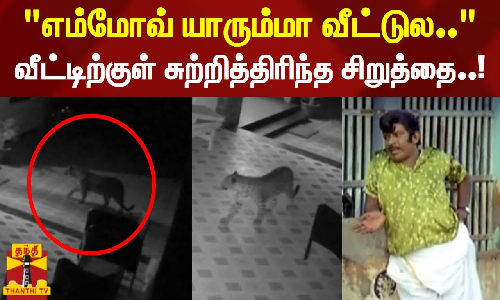 எம்மோவ் யாரும்மா வீட்டுல - வீட்டிற்குள் சுற்றித்திரிந்த சிறுத்தை..!