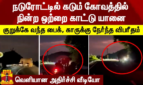 நடுரோட்டில் கடும் கோவத்தில் நின்ற ஒற்றை காட்டு யானை.. குறுக்கே வந்த பைக், காருக்கு நேர்ந்த விபரீதம்