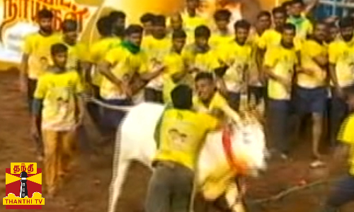 முதலமைச்சர் பிறந்தநாளையொட்டி மதுரையில் நடந்த  ஜல்லிக்கட்டு..சீறிப்பாயும் காளைகள்... மடக்கி பிடிக்கும் வீரர்கள்...!