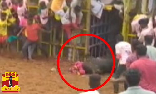 முன்னாள் அமைச்சர் விஜய பாஸ்கரின் சின்னக் கொம்பன் காளைக்கு காயம்..உயிருக்கு ஆபத்தான நிலையில் மருத்துவமனைக்கு அனுப்பி வைப்பு