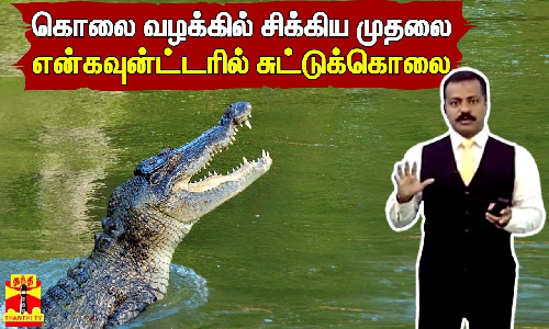 கொலை வழக்கில் சிக்கிய முதலை... என்கவுன்ட்டரில் சுட்டுக்கொலை