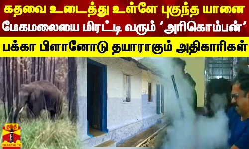 கதவை உடைத்து உள்ளே புகுந்த யானை.. மேகமலையை மிரட்டி வரும் அரிகொம்பன் கதவை உடைத்து உள்ளே புகுந்த யானை.. மேகமலையை மிரட்டி வரும் அரிகொம்பன்