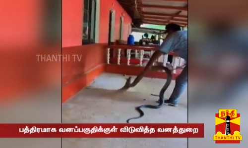 காருக்கு அடியில் இருந்து பிடிபட்ட சந்திரமுகி பாம்பைப் போல காட்சியளிக்கும் ராஜநாகம்!