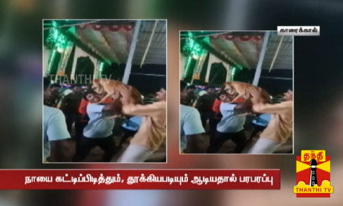 சீதளாதேவி அம்மன் கோவிலில் நடைபெறும் சித்திரை திருவிழா... நாயை கட்டிப்பிடித்தும், தூக்கியபடியும் ஆடியதால் பரபரப்பு