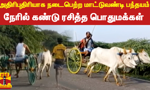 ராமநாதபுரத்தில் அதிரிபுதிரியாக நடைபெற்ற மாட்டுவண்டி பந்தயம்...நேரில் கண்டு ரசித்த பொதுமக்கள்