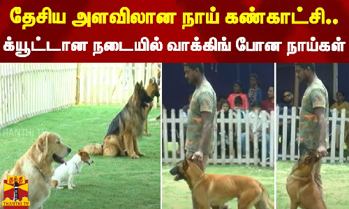 தேசிய அளவிலான நாய் கண்காட்சி.. க்யூட்டான நடையில் வாக்கிங் போன நாய்கள்