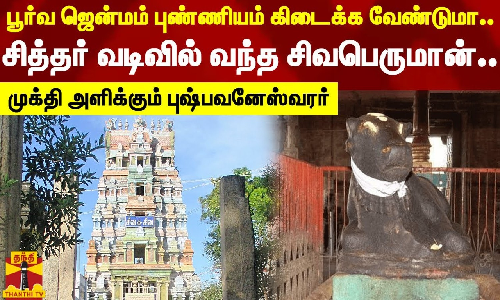 சித்தர் வடிவில் வந்த சிவபெருமான்..பூர்வ ஜென்மம் புண்ணியம் கிடைக்க வேண்டுமா? முக்தி அளிக்கும் புஷ்பவனேஸ்வரர்